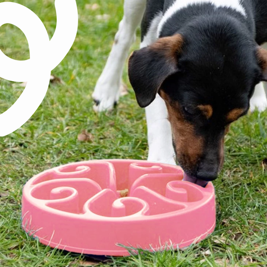 Anti-Schling-Napf 'Original Pink' (S)