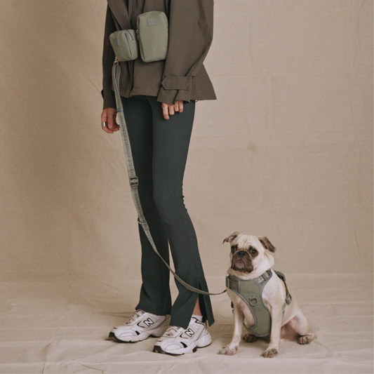 Geschirr 'EASY FIT' - Sage