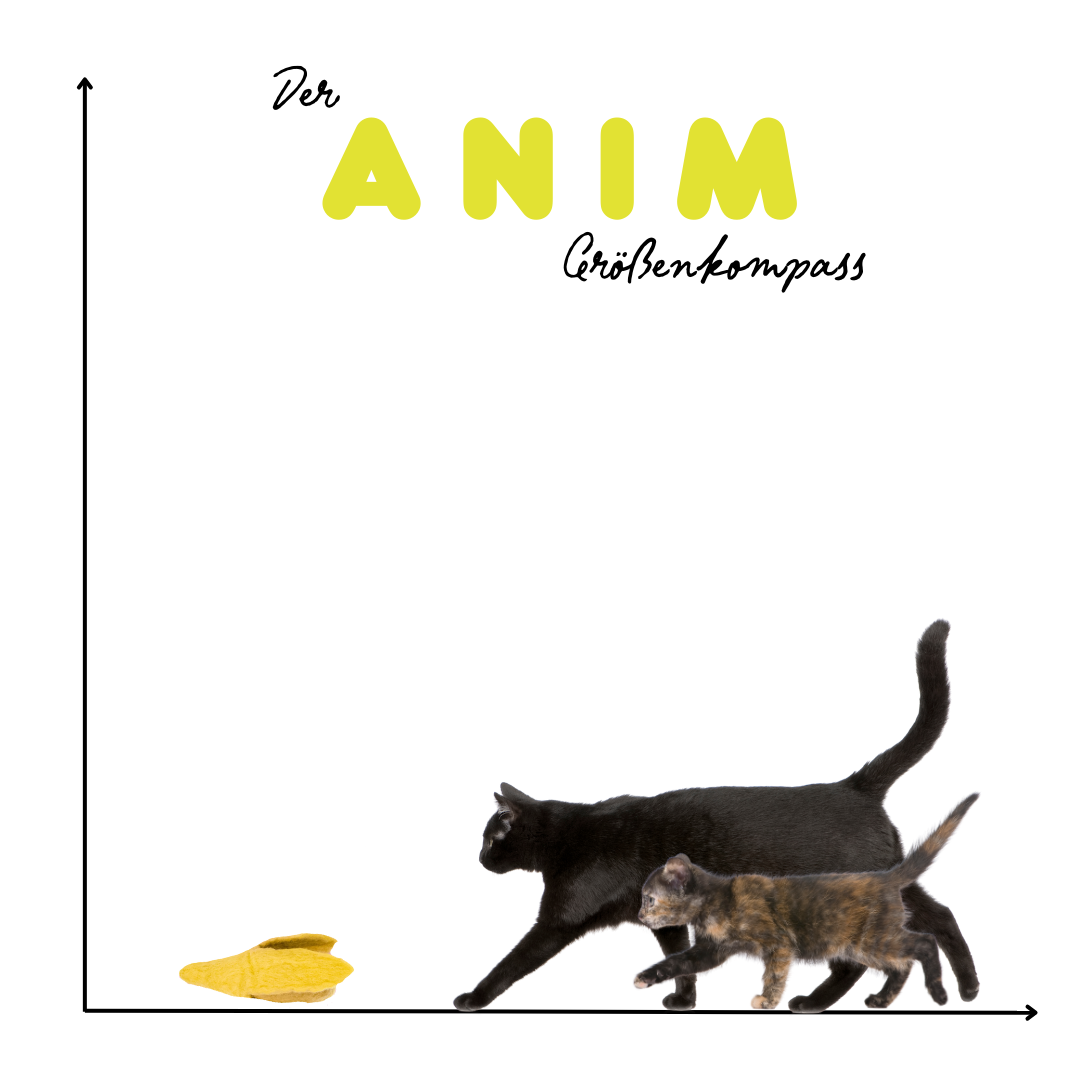 Banana Split