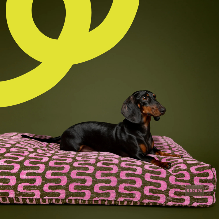 Hundebett