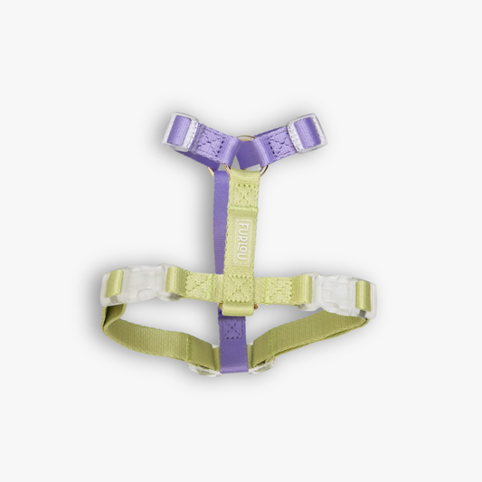 Geschirr 'Lavendel & Lime'