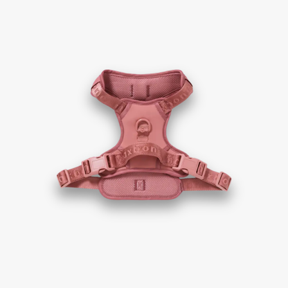 Geschirr 'EASY FIT' - Rosewood
