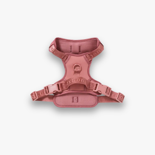 Geschirr 'EASY FIT' - Rosewood