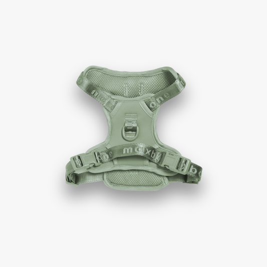 Geschirr 'EASY FIT' - Sage