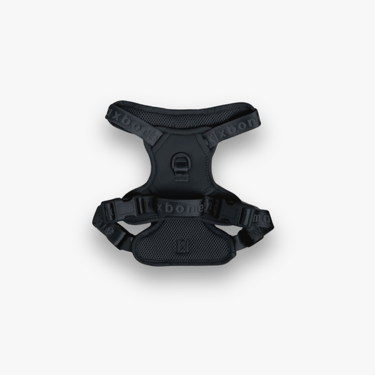 Geschirr 'EASY FIT' - Schwarz