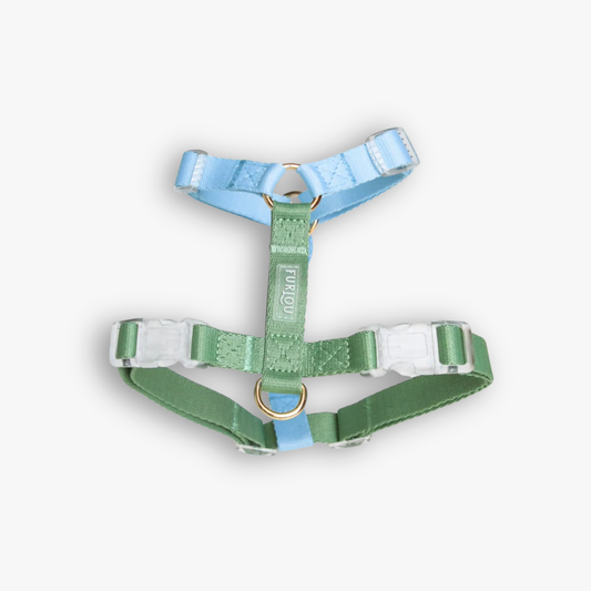 Geschirr 'Blau & Hellgrün'