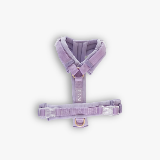 Komfort Geschirr 'Lavendel'