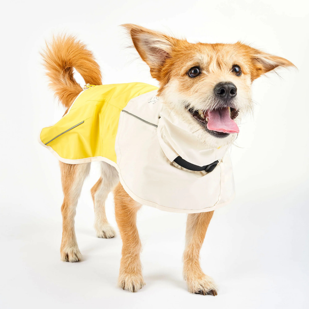 Venture Regenjacke - Gelb