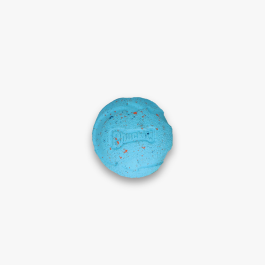 Set 'Rebounce Fetch Ball'