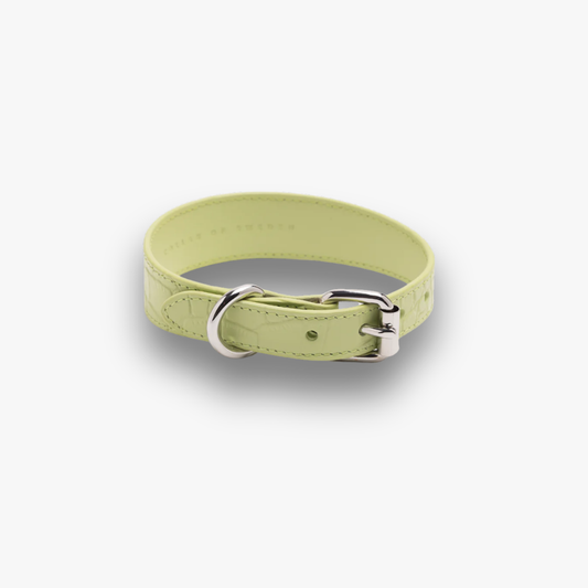 Halsband 'Croco Pastel Green'