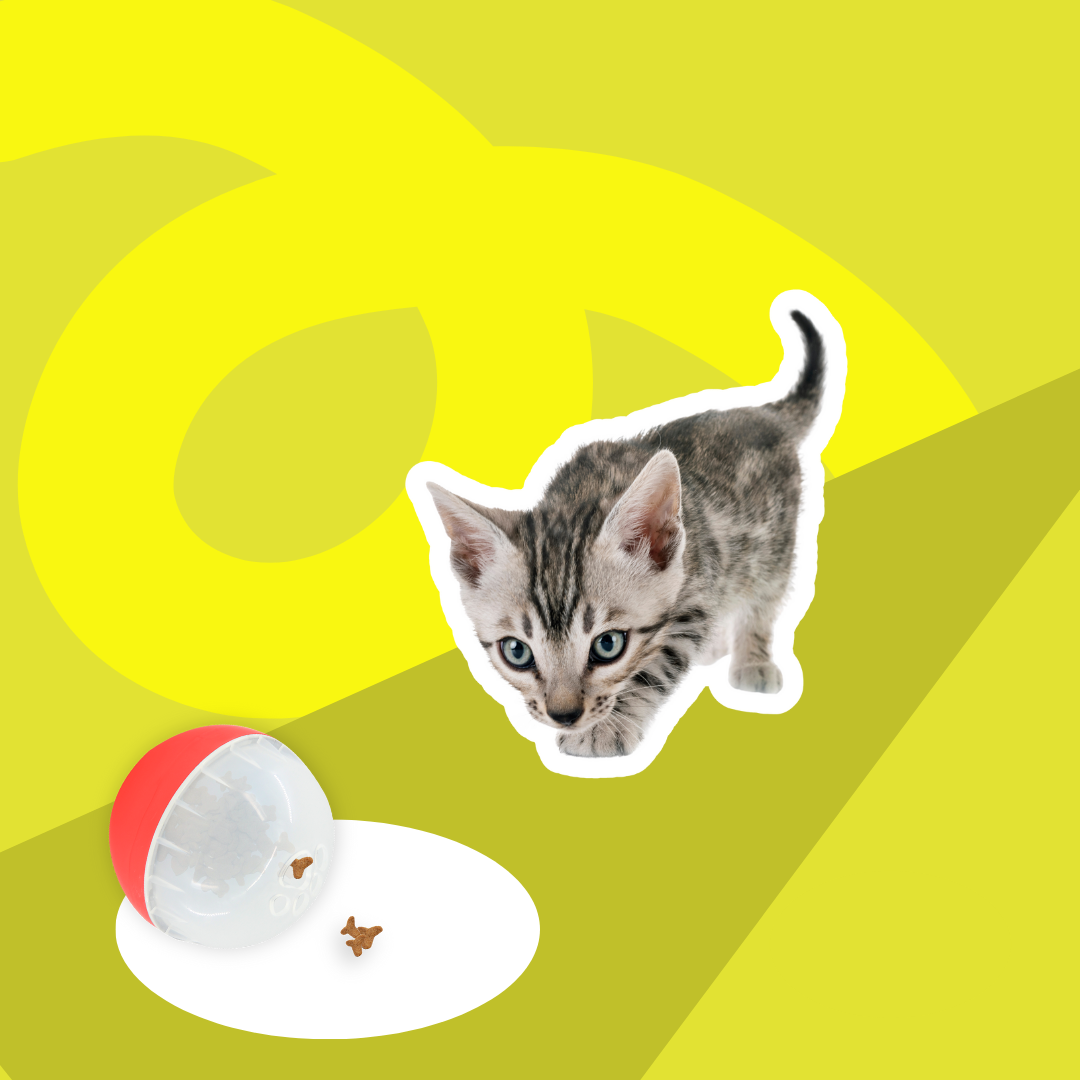 Cat 'Treat Ball'