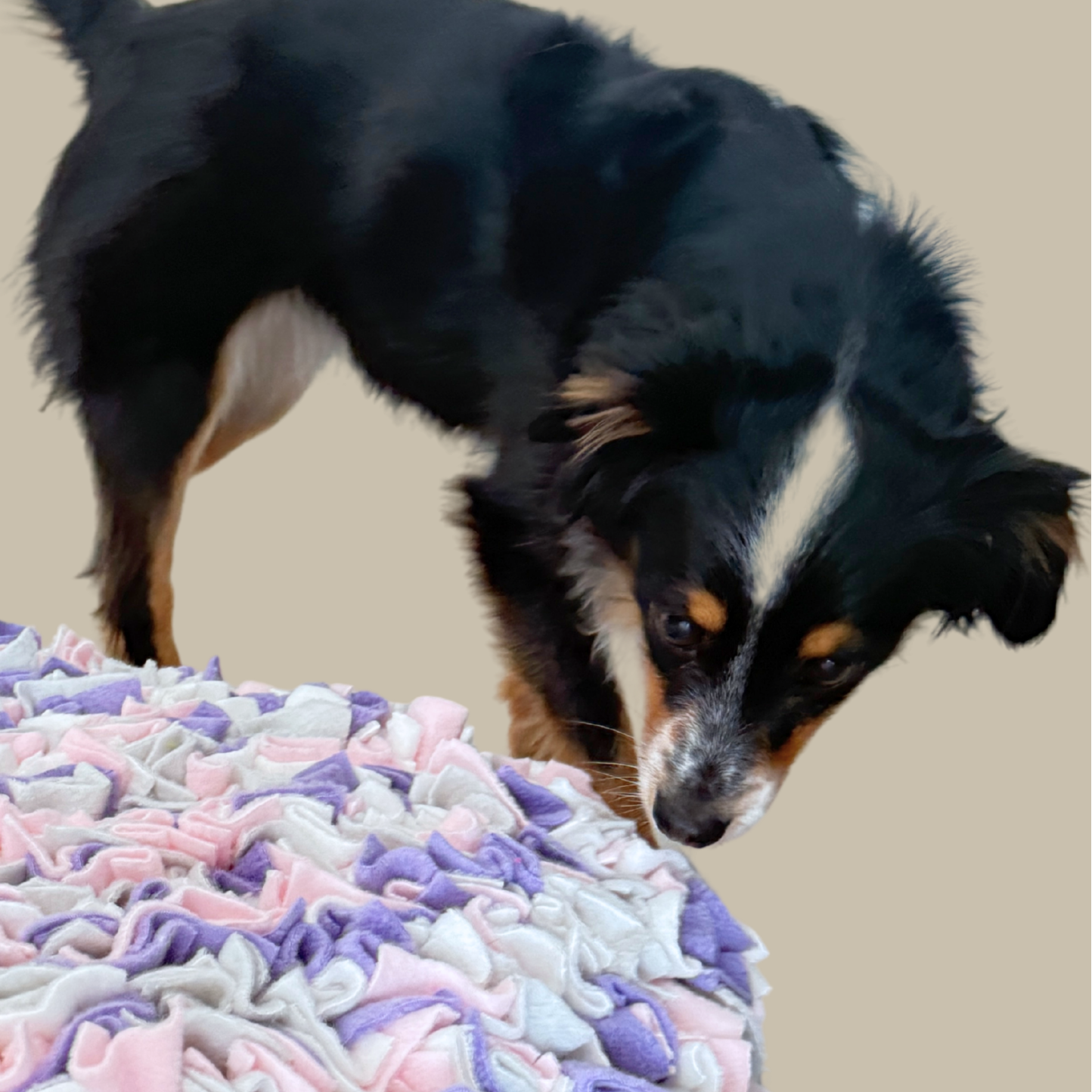 Schnüffelteppich 'Flieder'