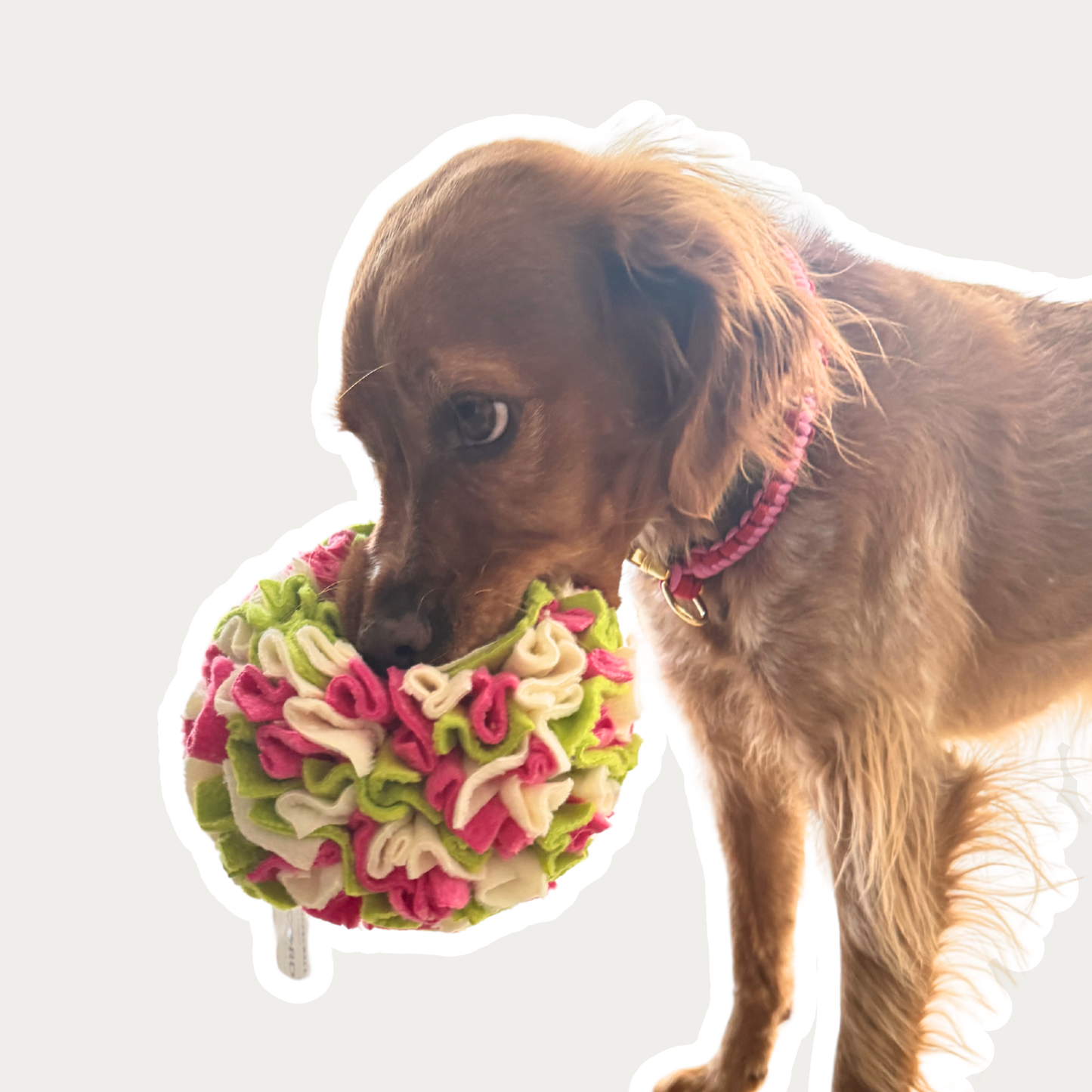 Schnüffelball 'Pink'