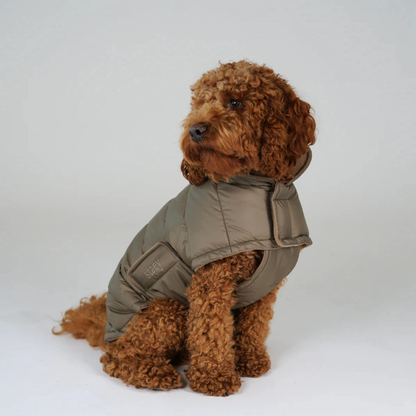Hundemantel 'Nora Taupe'