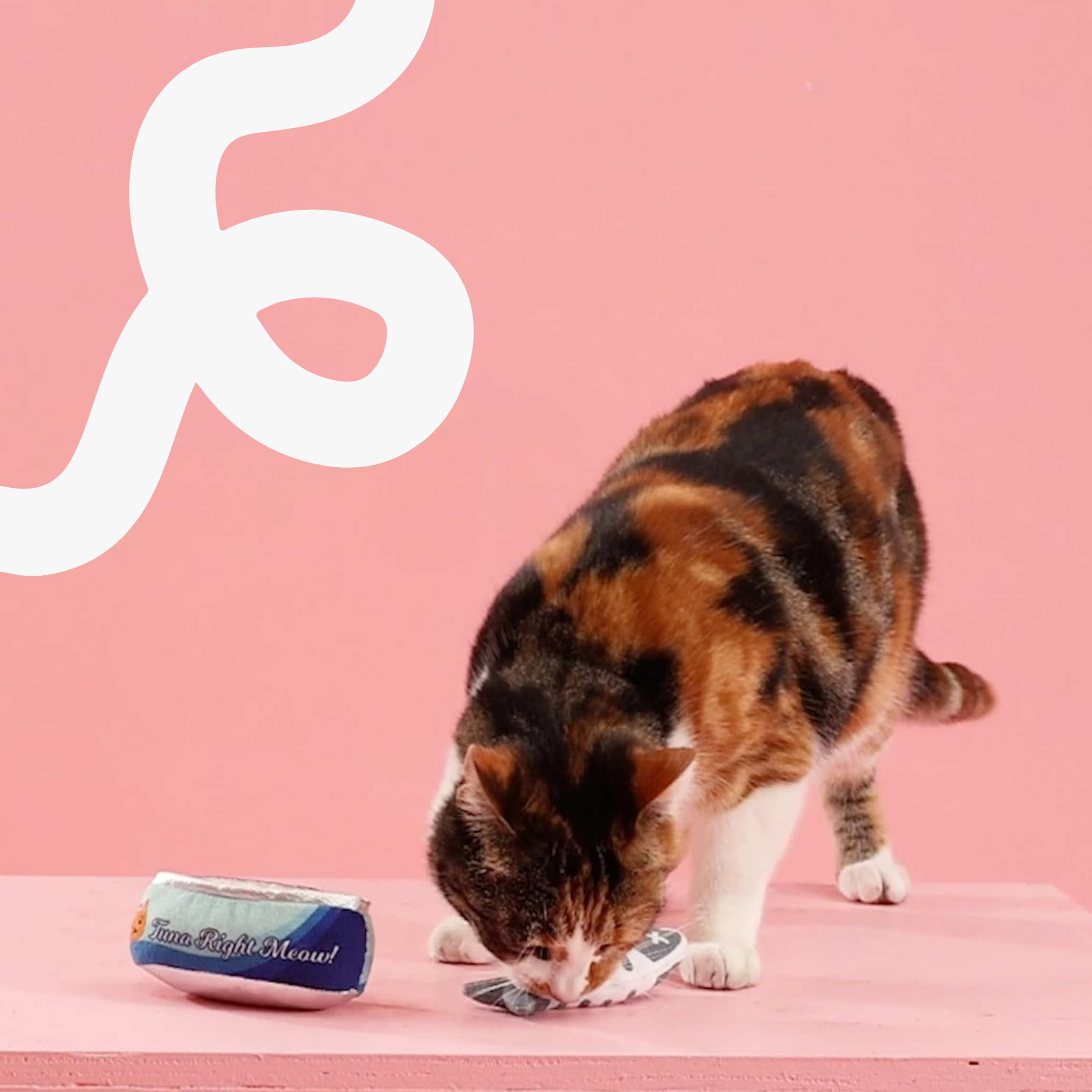 Set 'Tuna Right Meow'