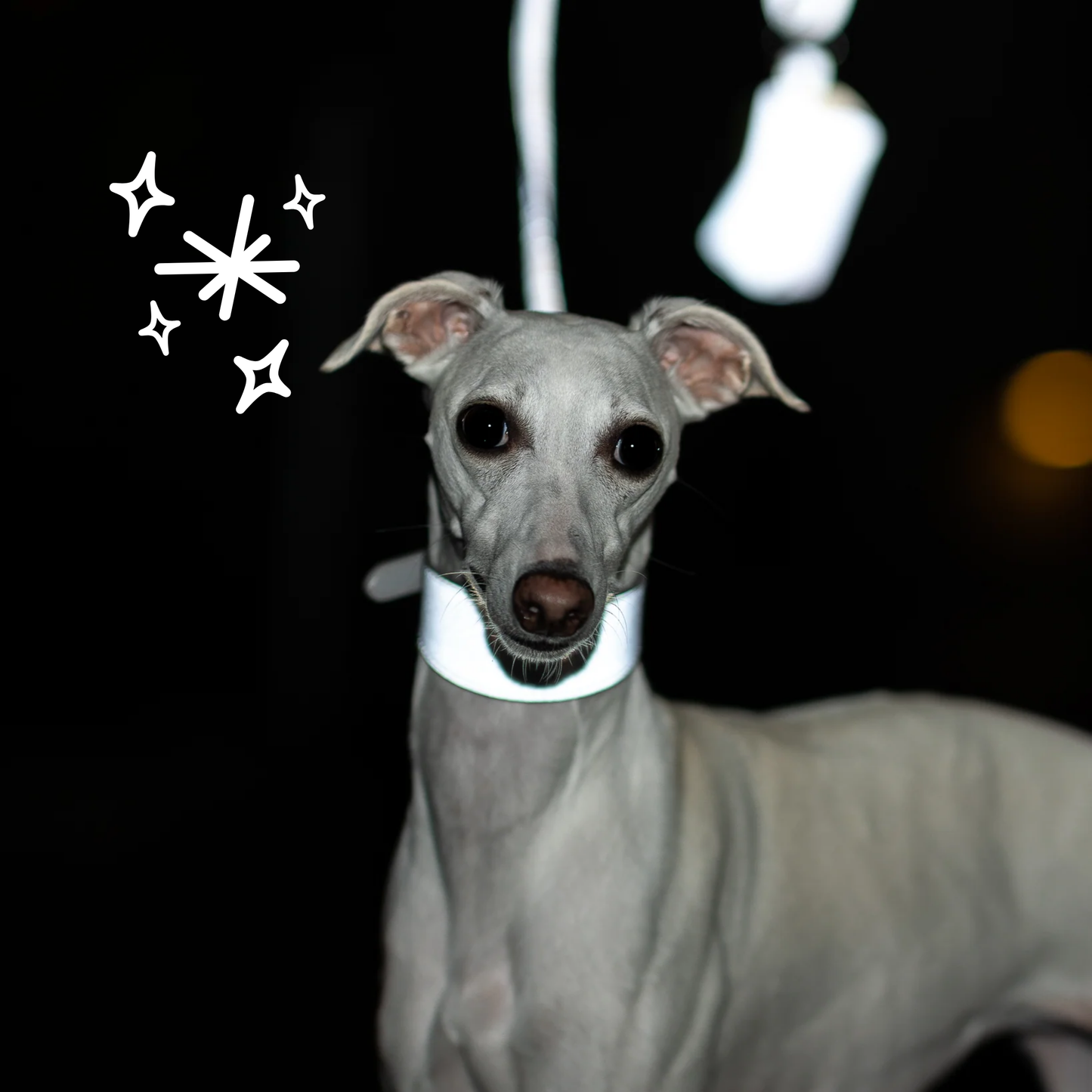 Leine 'Reflekt' (S)