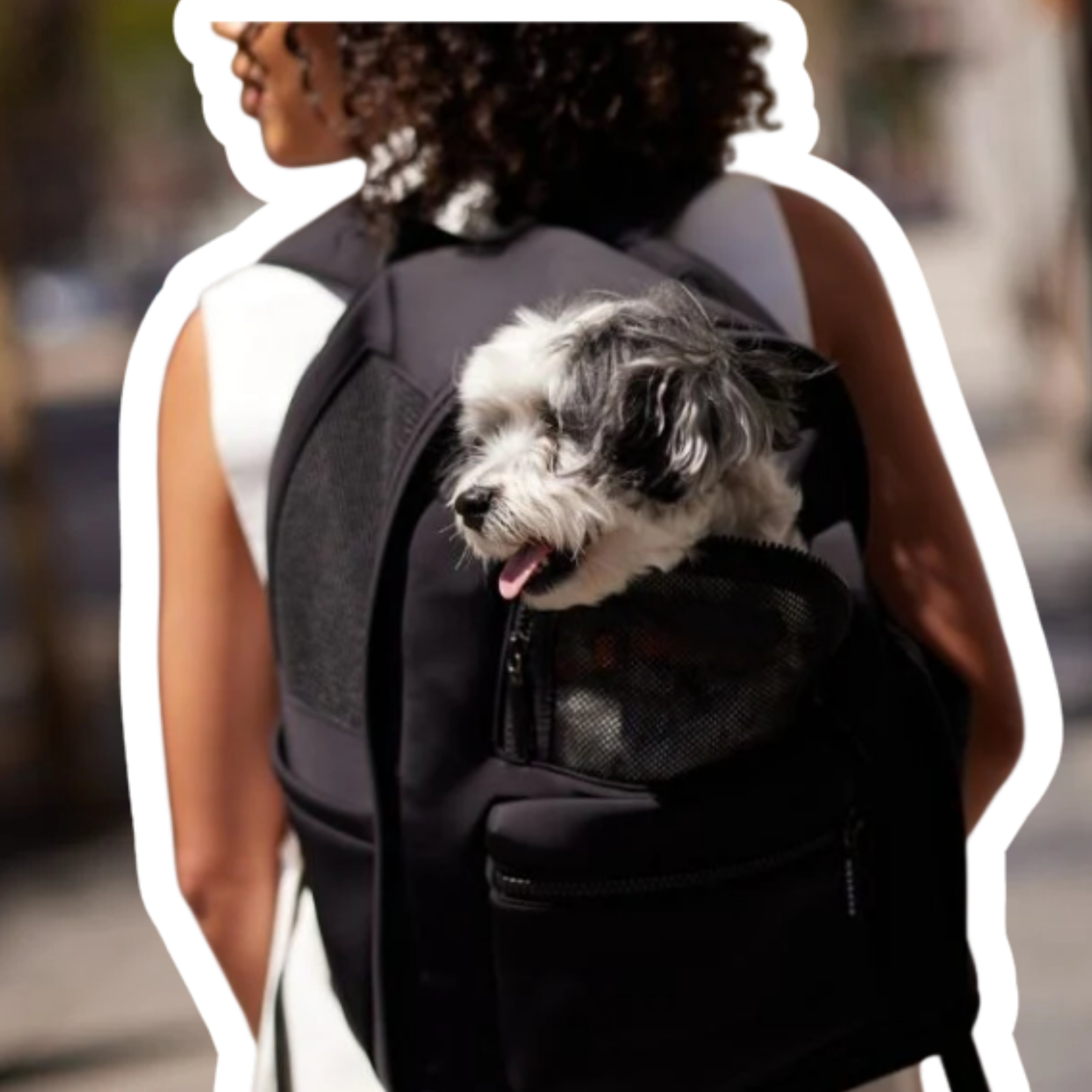 Transportrucksack 'Go Everywhere'