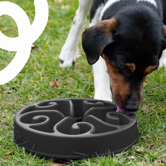 Anti-Schling-Napf 'Original' (S)