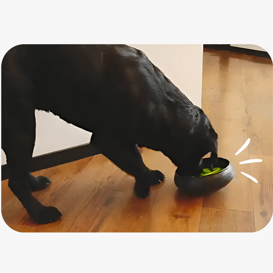 Tumble Feeder 'Grau'