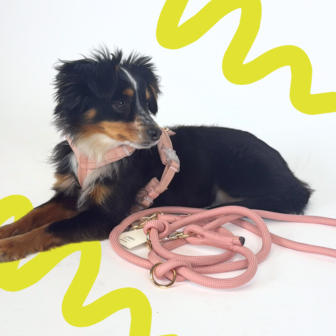 Hands-Free Leine 'Rose'