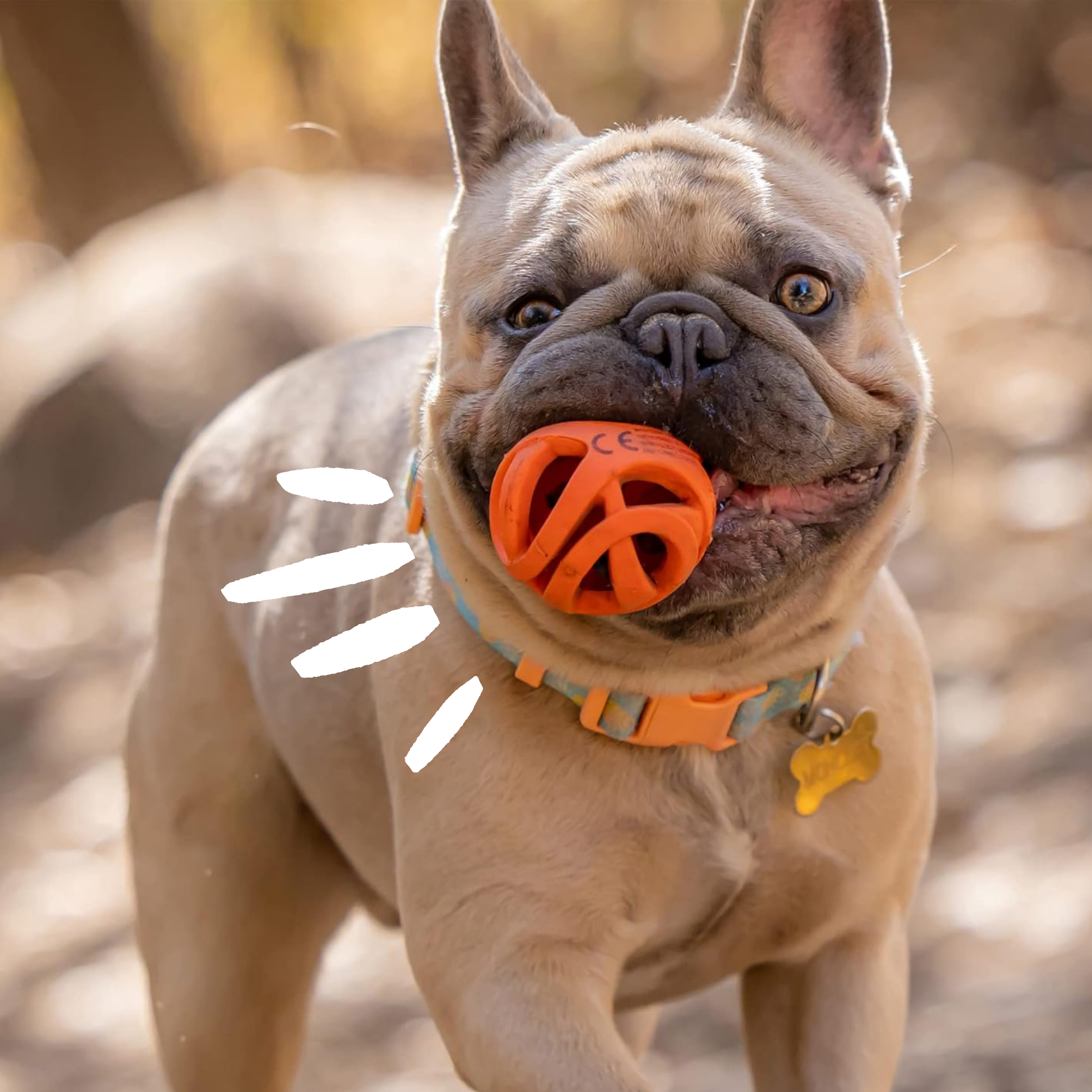 Set 'Air Fetch' - S