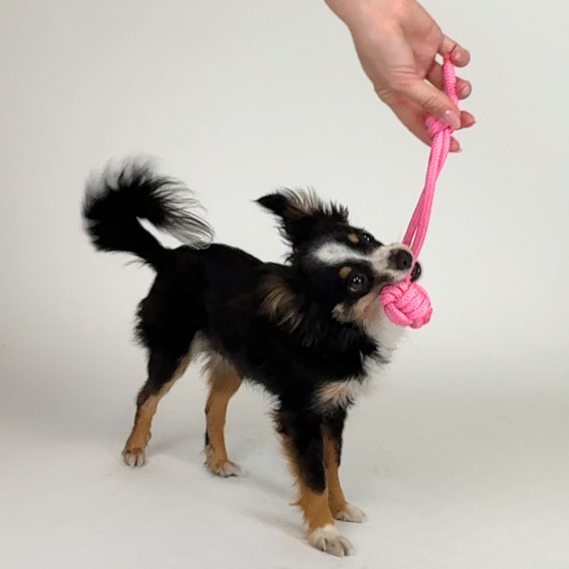 Mini-Wurfball 'Rainbow'
