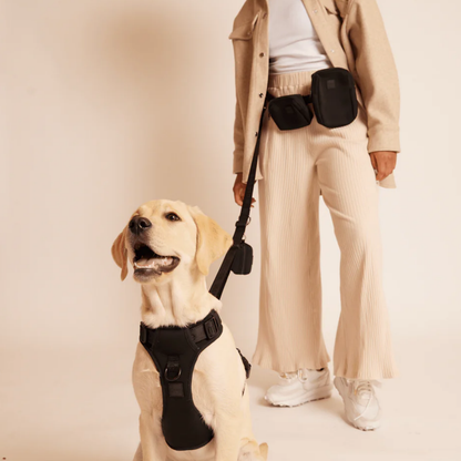 Halsband 'Signature' - Schwarz