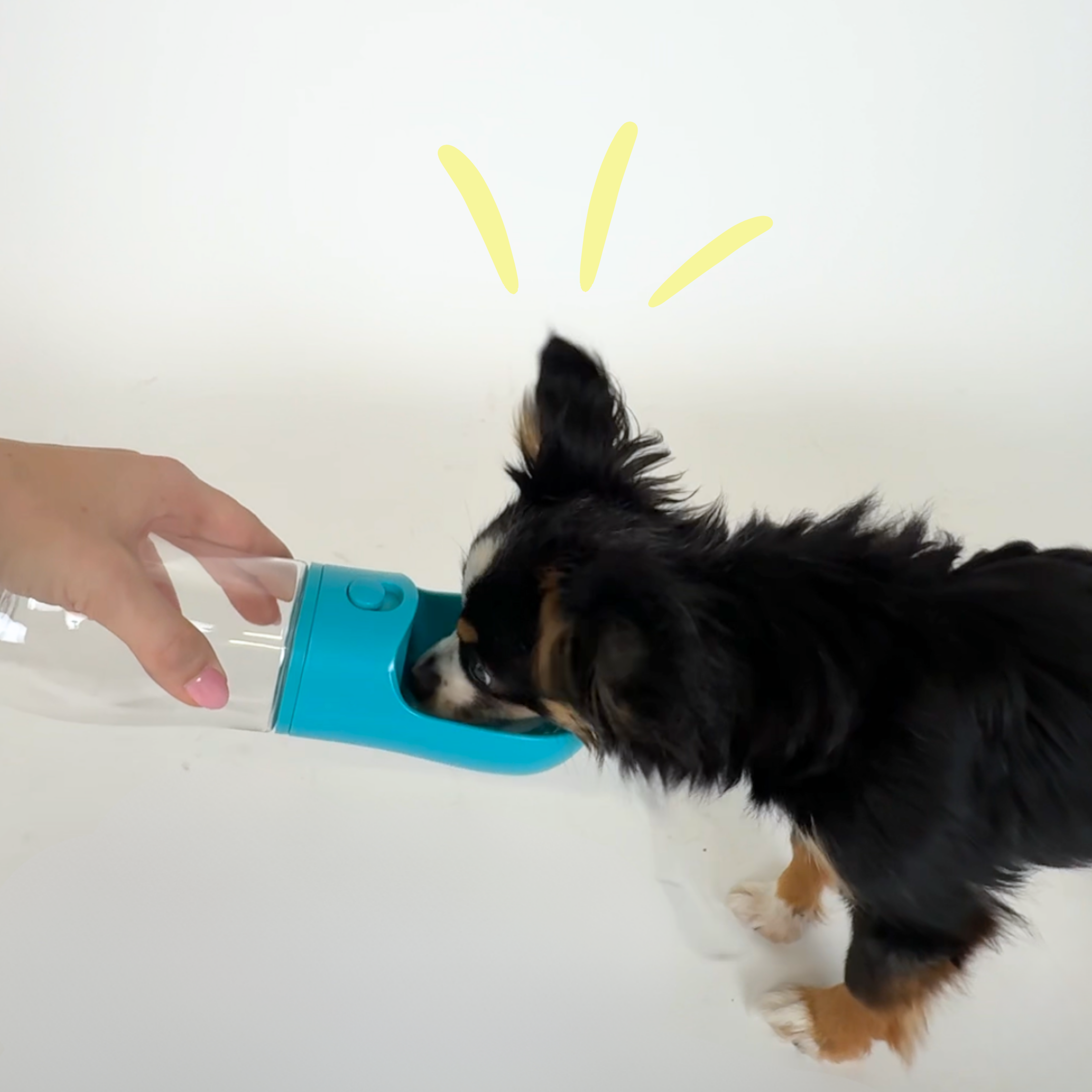 Wasserspender 'Let´s Go'