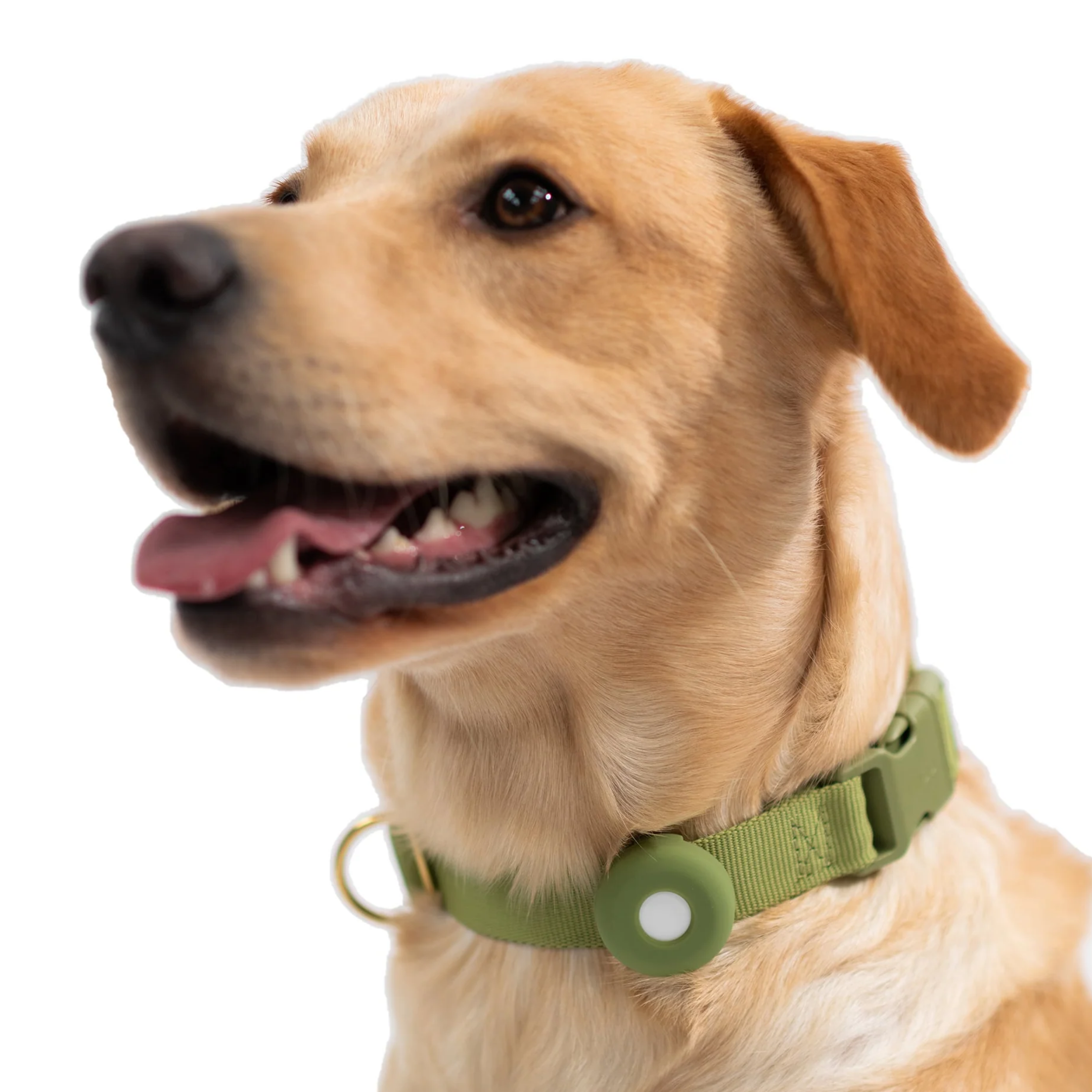 AirTag Halter 'Fetch'