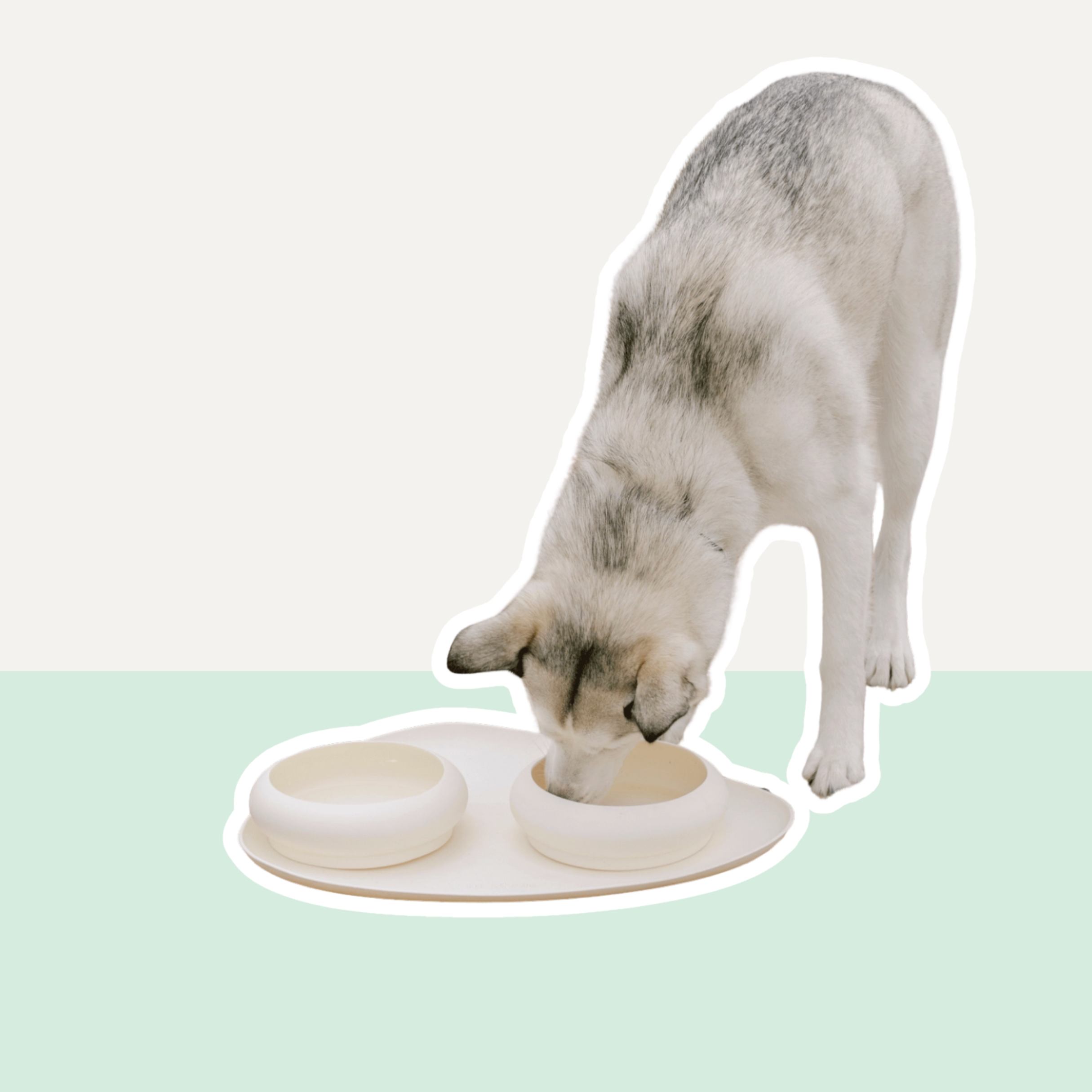 Napf 'Bubble Bowl'