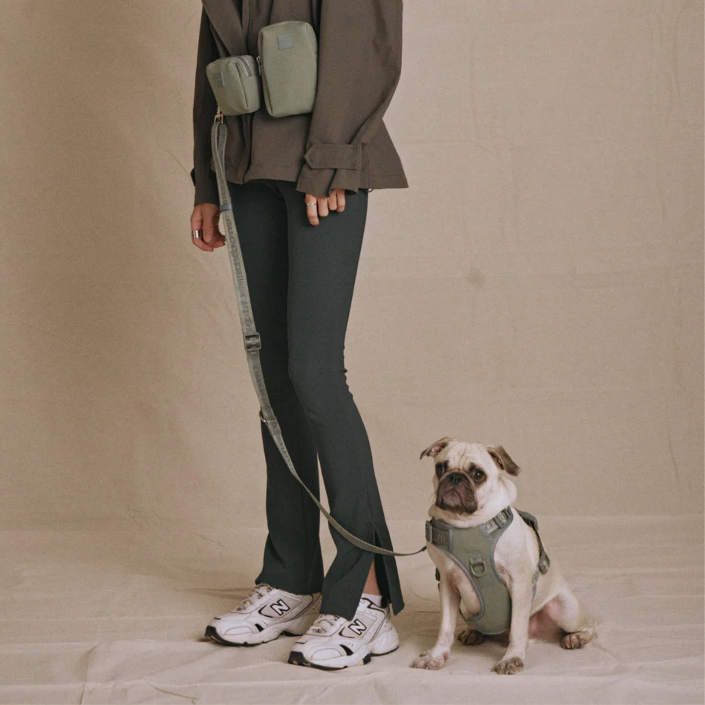 Geschirr 'EASY FIT' - Sage