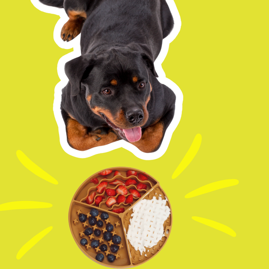 Adventure Lickmat Coral Pink