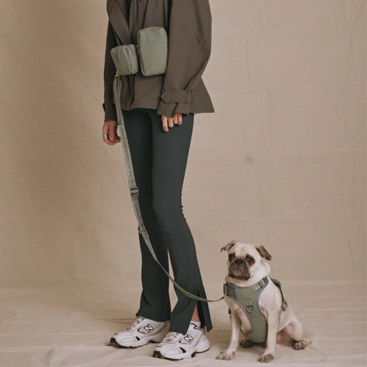 Halsband 'Signature' - Sage