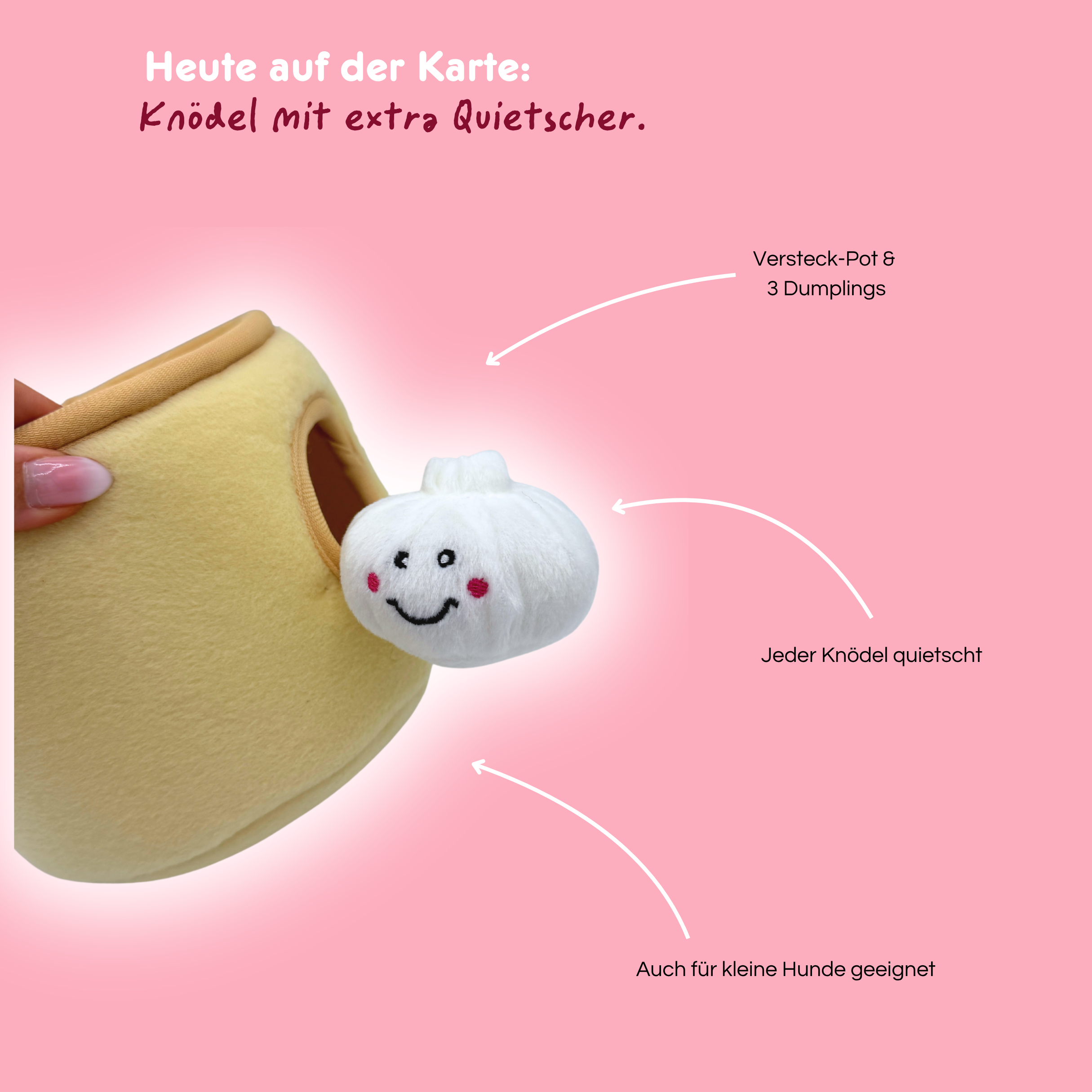 Happy Dumplings