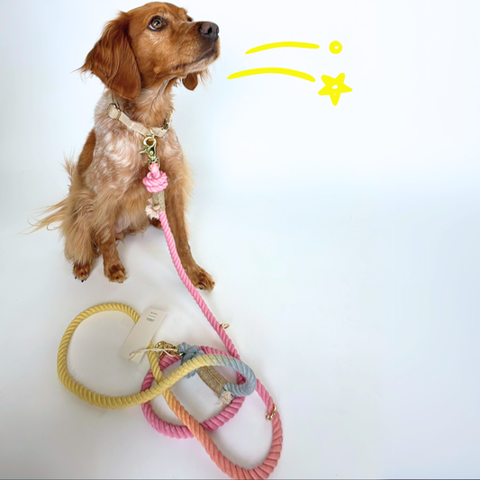 Hands-Free Leine 'Lucky Charms'