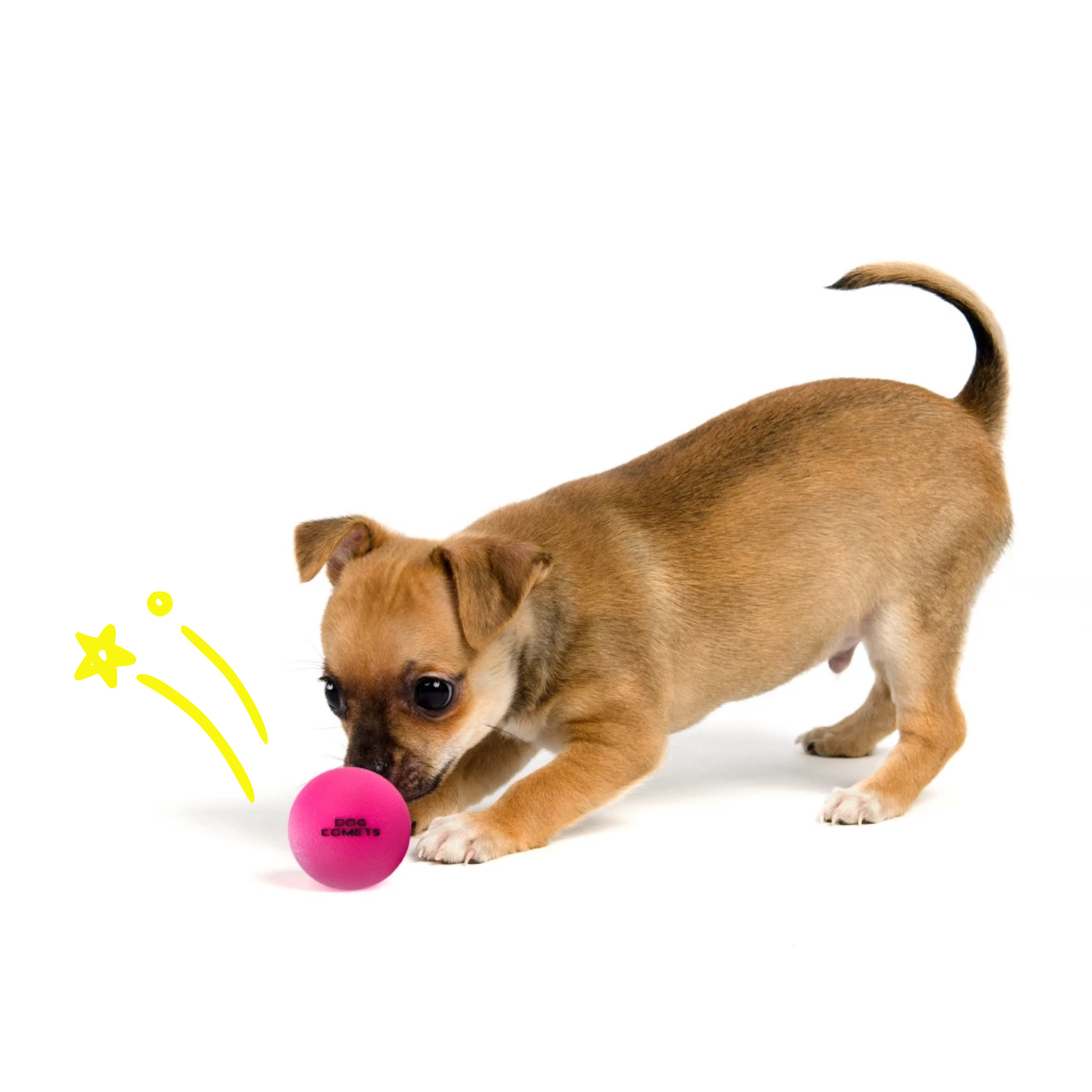 Ball 'Stardust'