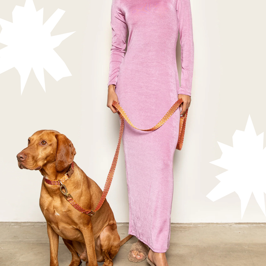 Leine 'Retro Wave' - rost/pink