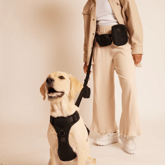 Leine Handsfree 'GO!' - Schwarz