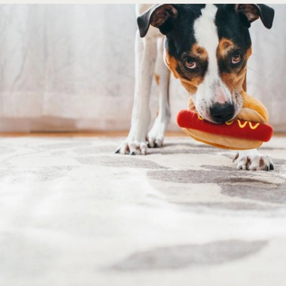 Hot Dog