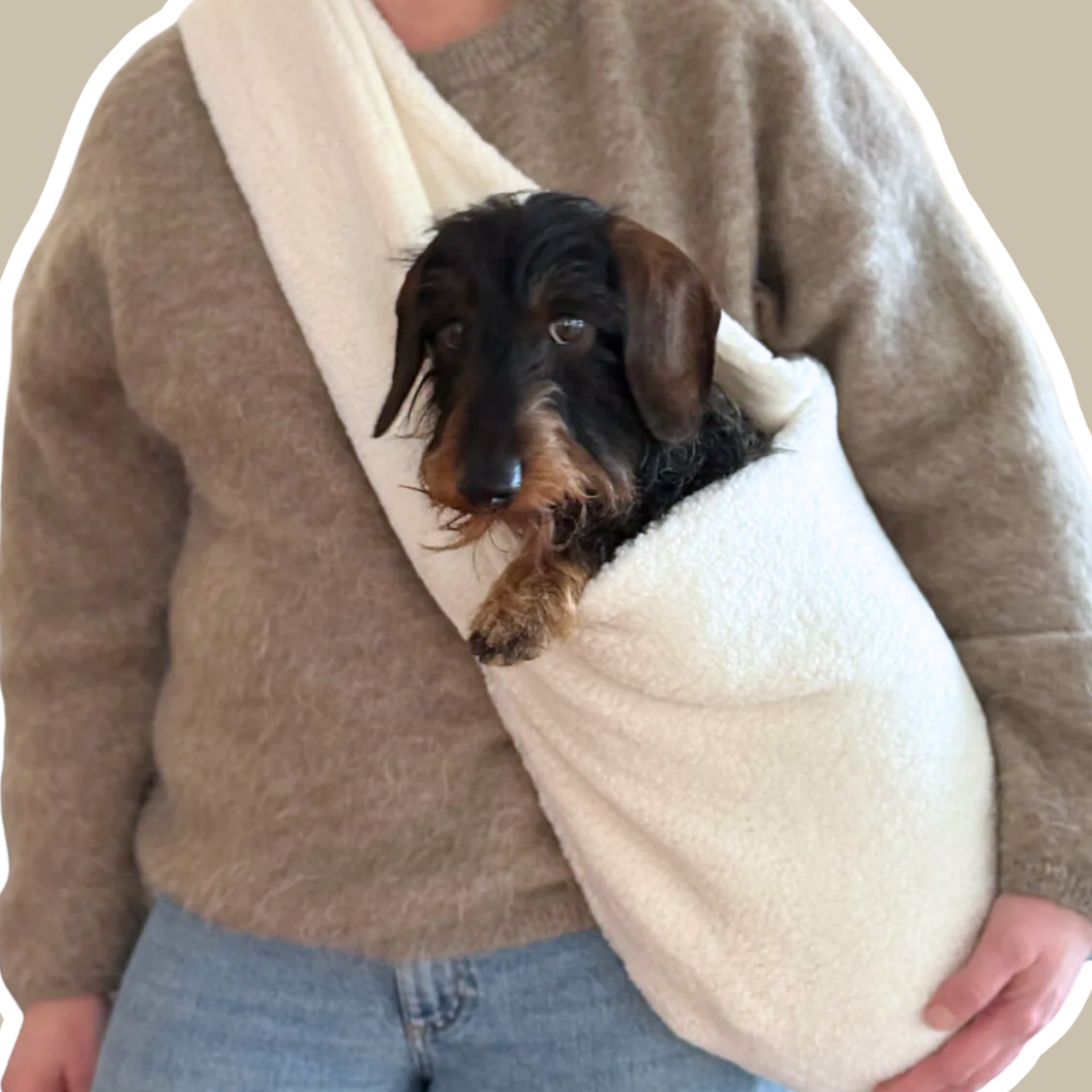 SnugPup Tragetuch 'Teddy'