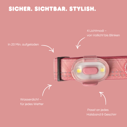 Sicherheitslicht 'Rose'