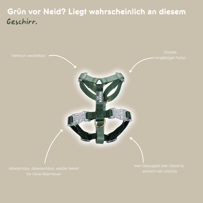 Geschirr 'Duo Green'