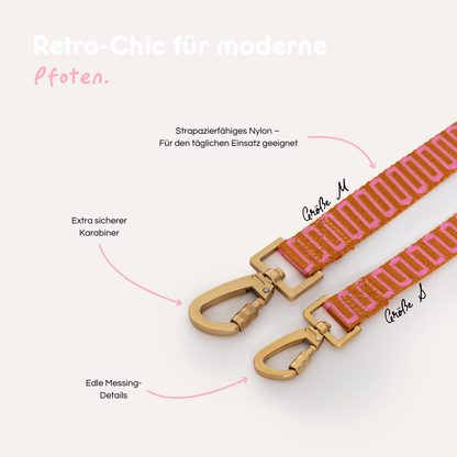 Leine 'Retro Wave' - rost/pink