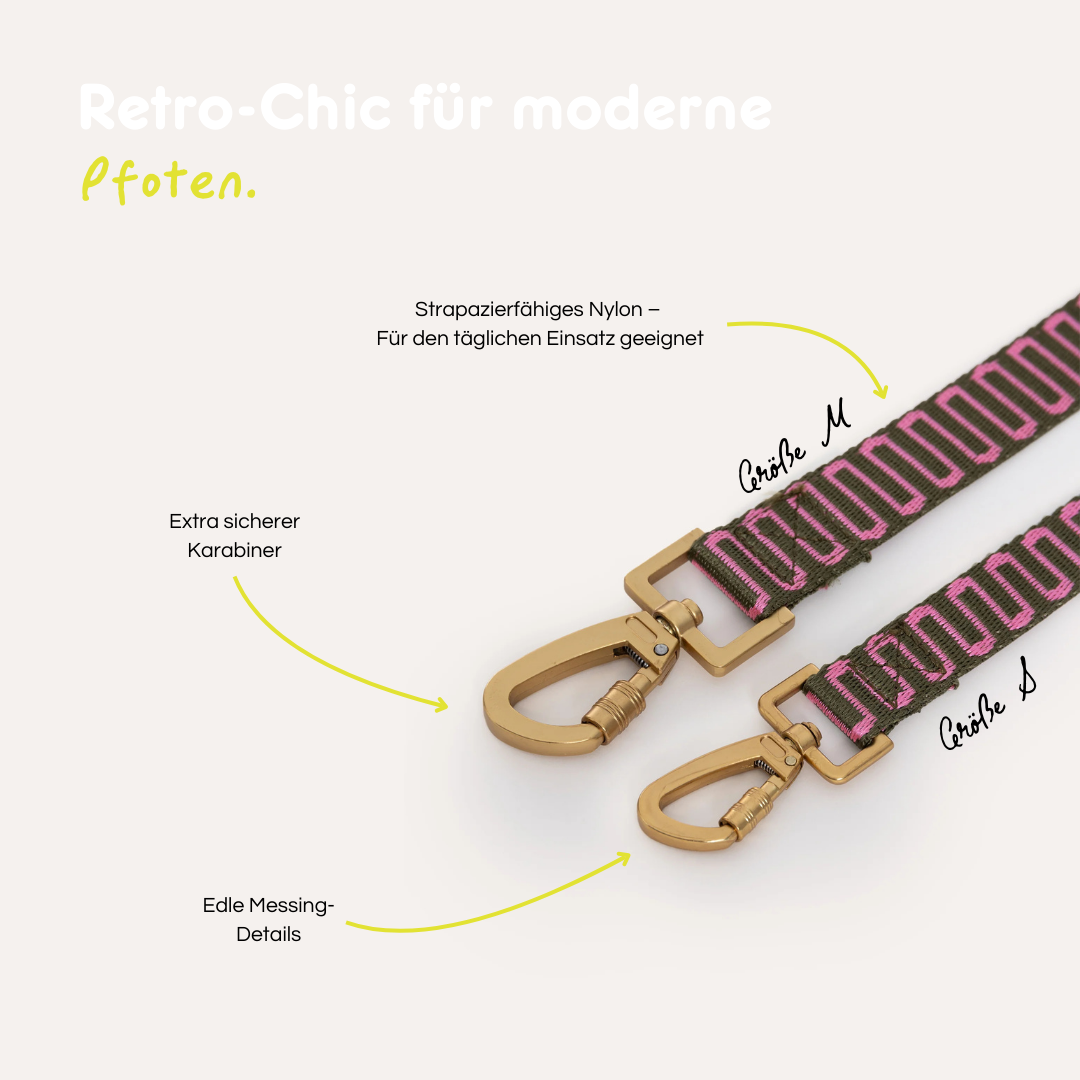 Leine 'Retro Wave' - grün/pink