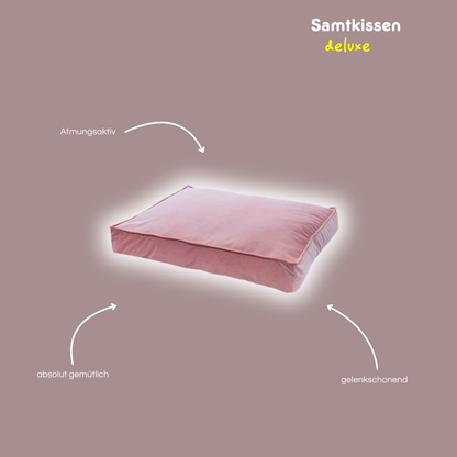 'Blush' Bett