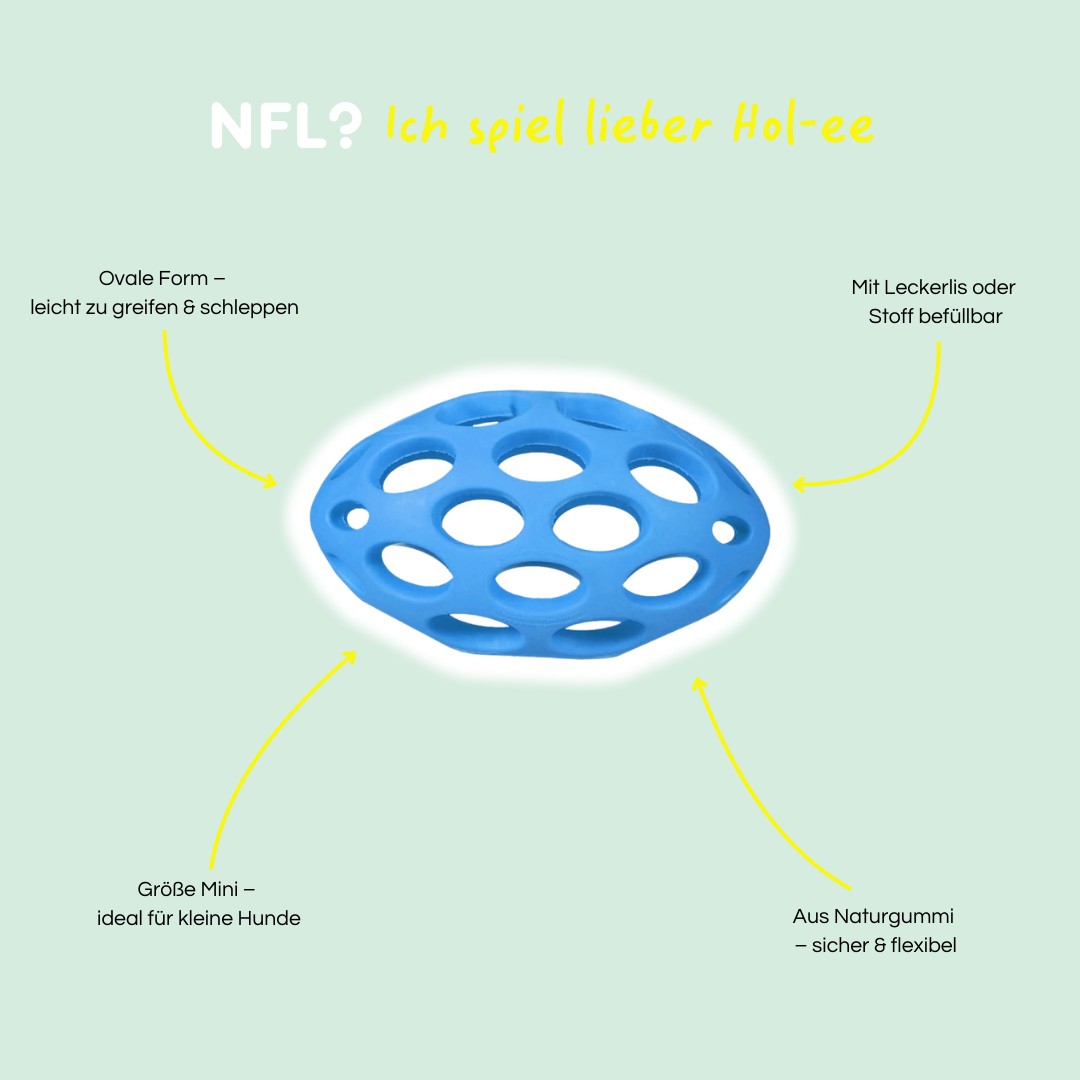 Hol-ee Football - Small