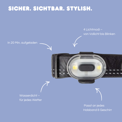 Sicherheitslicht 'Black'