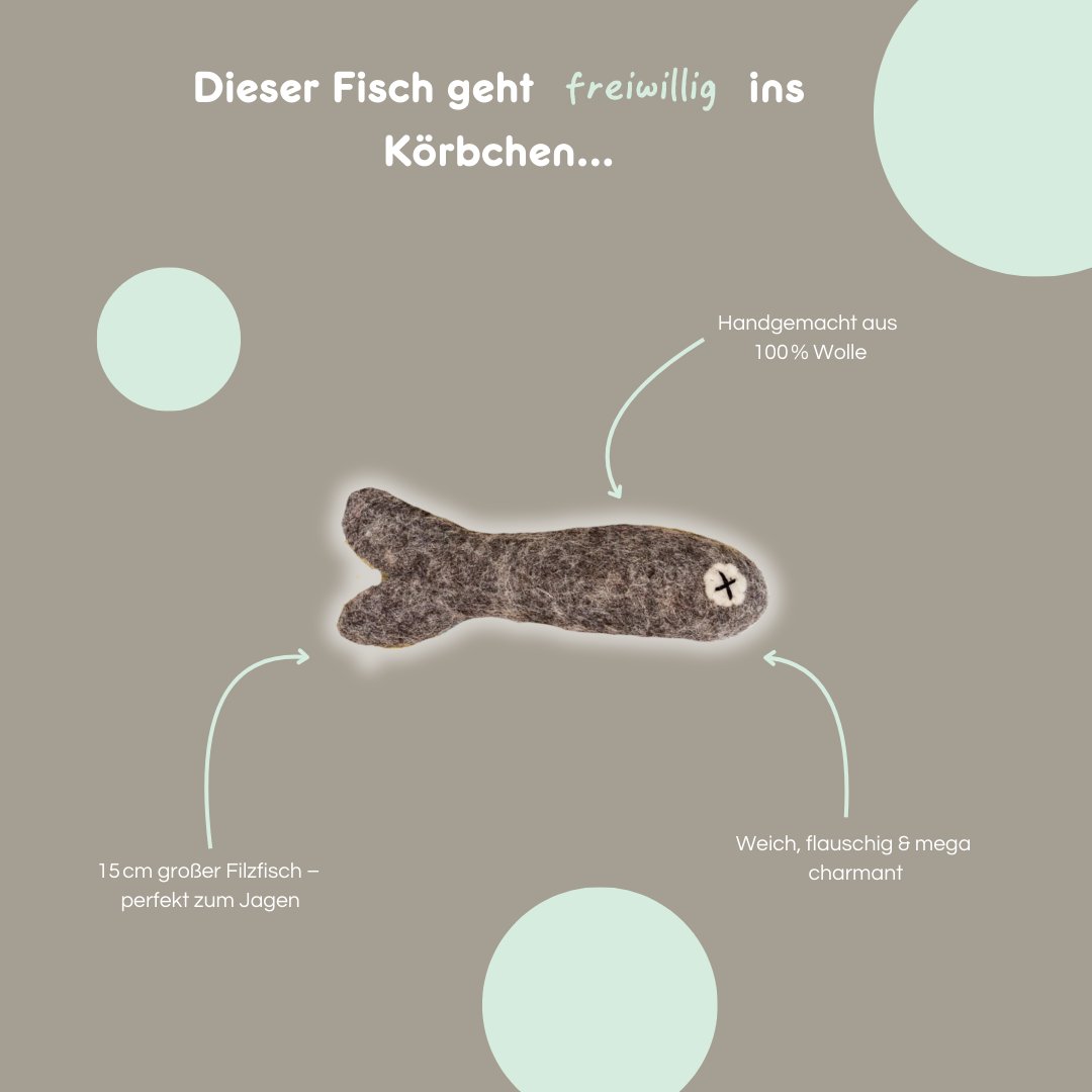 Felix the Fish (klein)