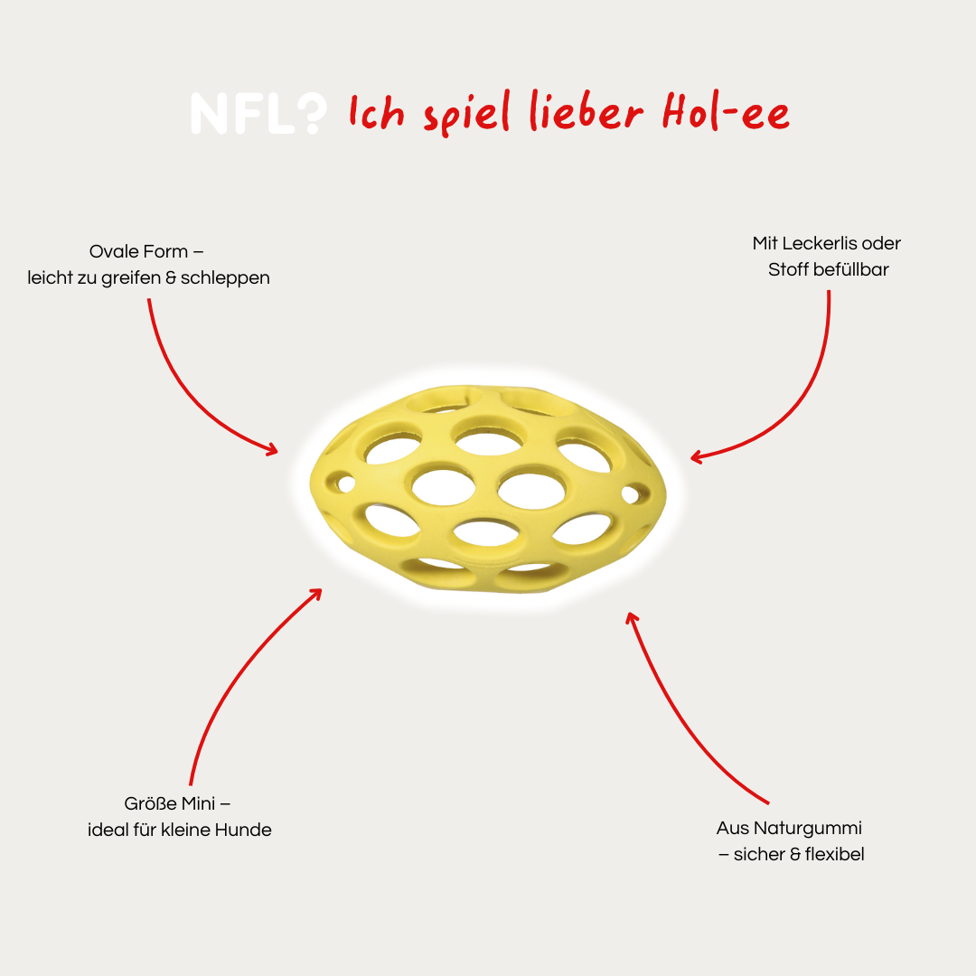Hol-ee Football - Mini