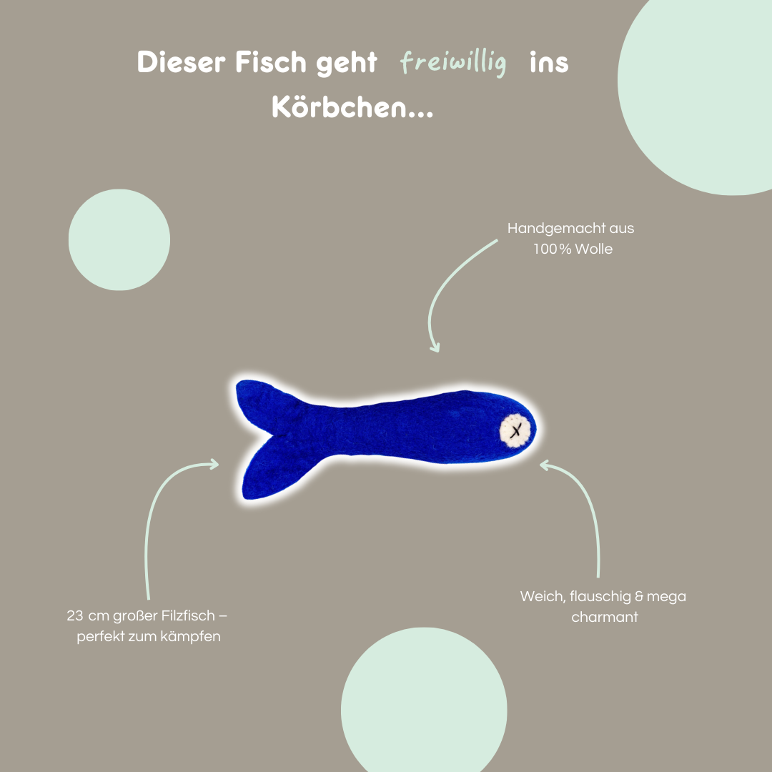 Freddy the Big Fish